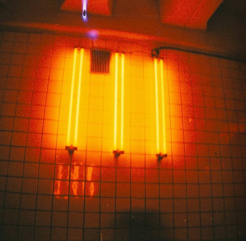 Diana Mini - 1年半使ってみてのレビュー · Lomography