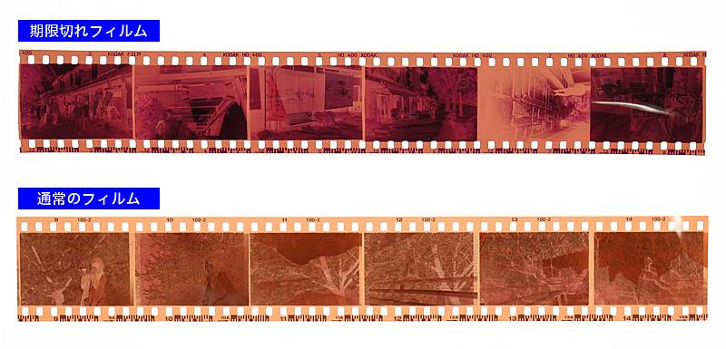 テクニック記事】期限切れフィルム、その魅力と特徴にせまる · Lomography