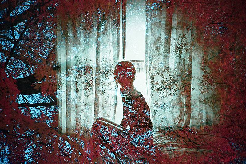 テクニック記事】期限切れフィルム、その魅力と特徴にせまる · Lomography
