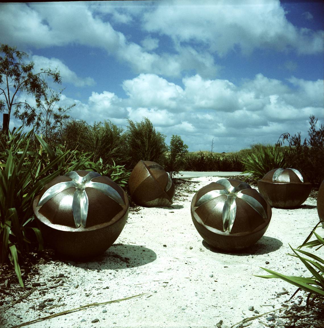 Expired: Fuji Provia 100F 35mm