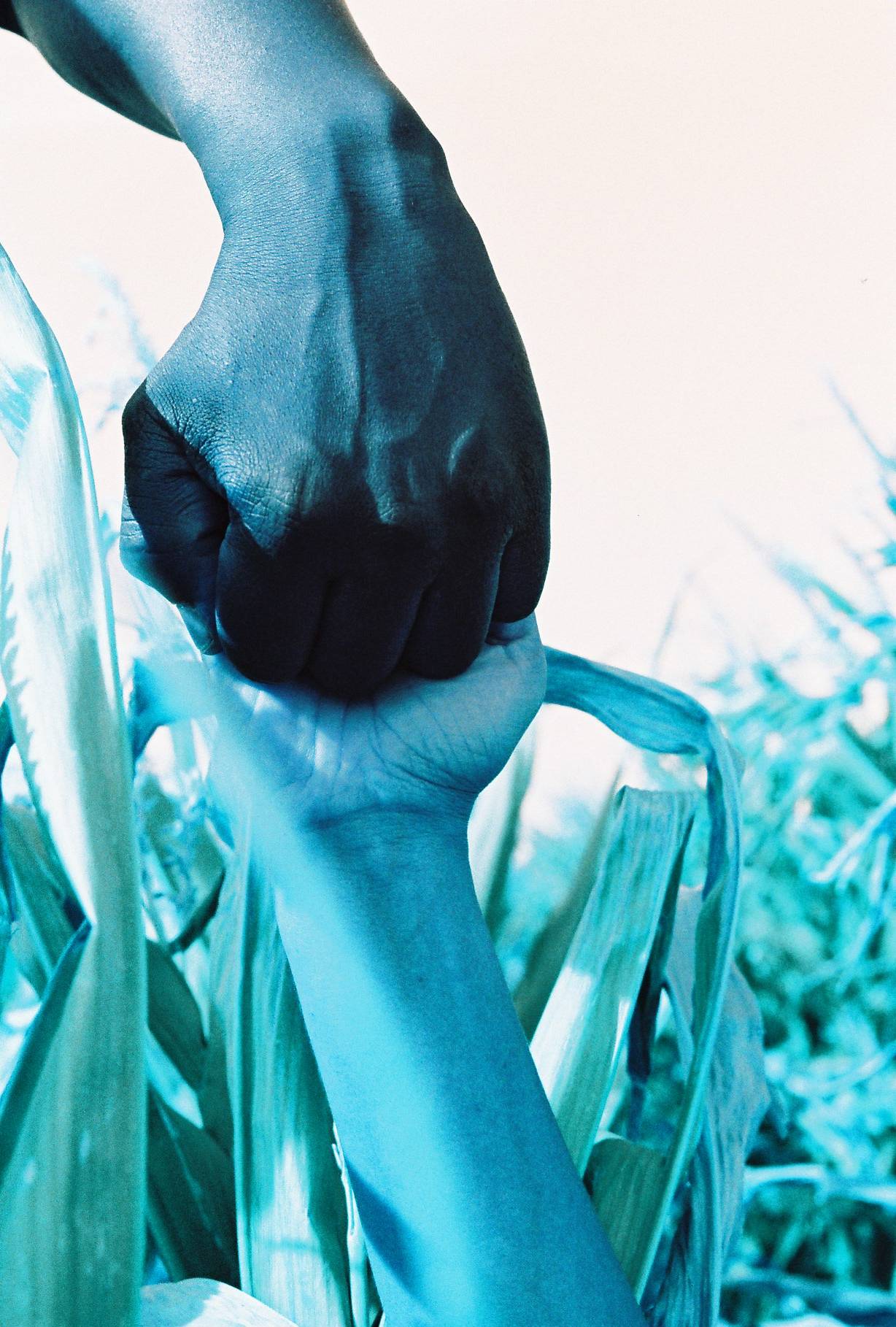 从人群中脱颖而出 － 与市面上其他胶卷不同，我们的 LomoChrome 特效胶卷能够呈现无与伦比的效果。