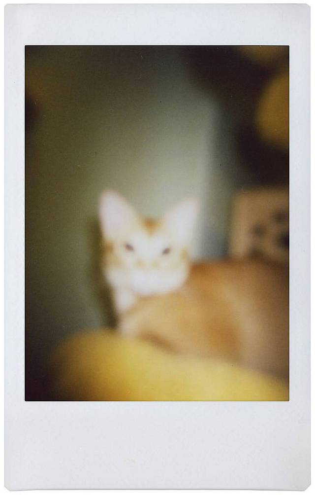 © Kay | Lomo'Instant Automat Glass 广角玻璃镜头拍立得相机－雪山特别版