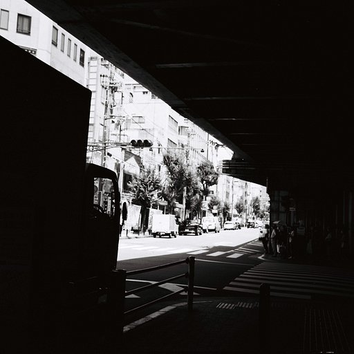 A Guide to Shooting Photos with Lomography B&W 120 Films