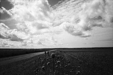 Camera: Nikon TW2D · Lomography