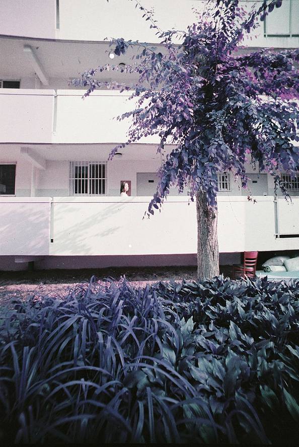 © Jiun | Lomo LC-Wide 广角胶片相机 | LomoChrome Purple ISO 100–400 135 紫调负片－ Pétillant 汽泡特別版 | Model: Hae-ro Kang