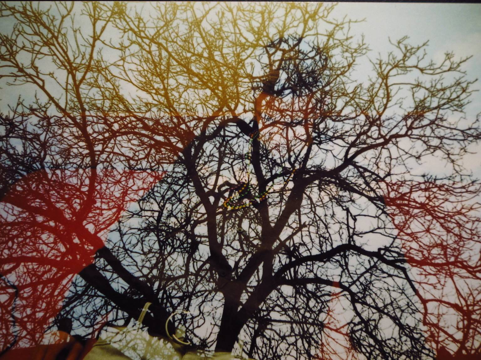 How to do Easy Multiple Exposures with your Classic LC-A! · Lomography