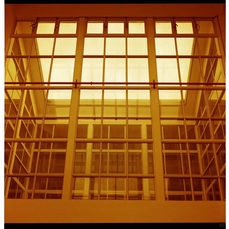 由王可艾使用 Lomography Redscale 红调负片胶卷拍摄
