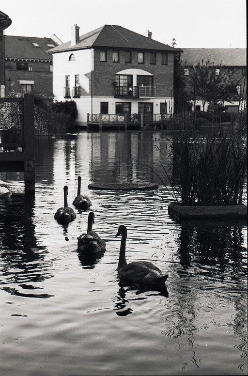 Plover Way, SE16