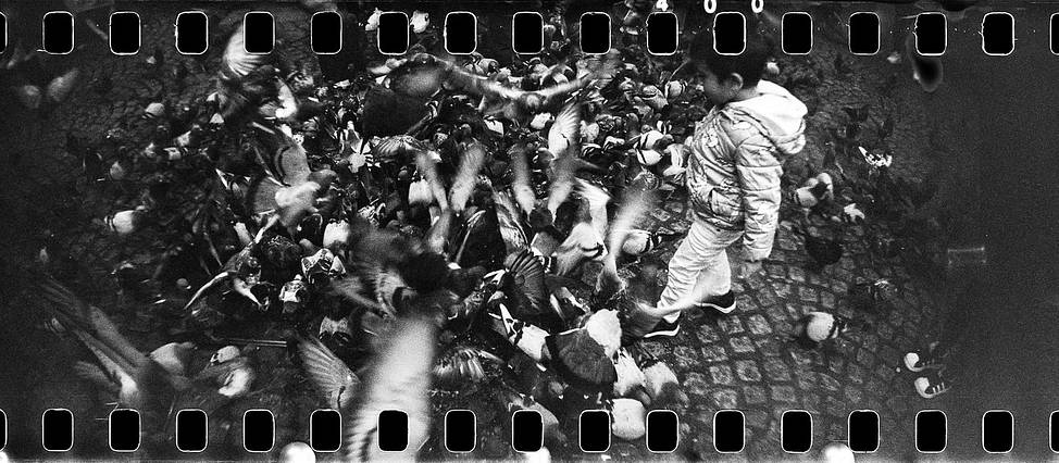 © Nuno Cruz | Sprocket Rocket + Berlin Kino