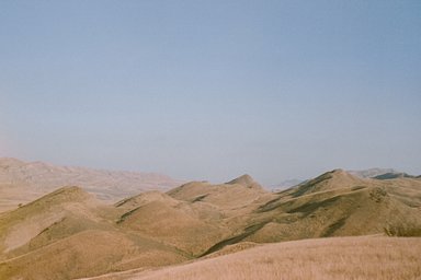 Camera: Nikon Lite Touch zoom 120 ED AF · Lomography