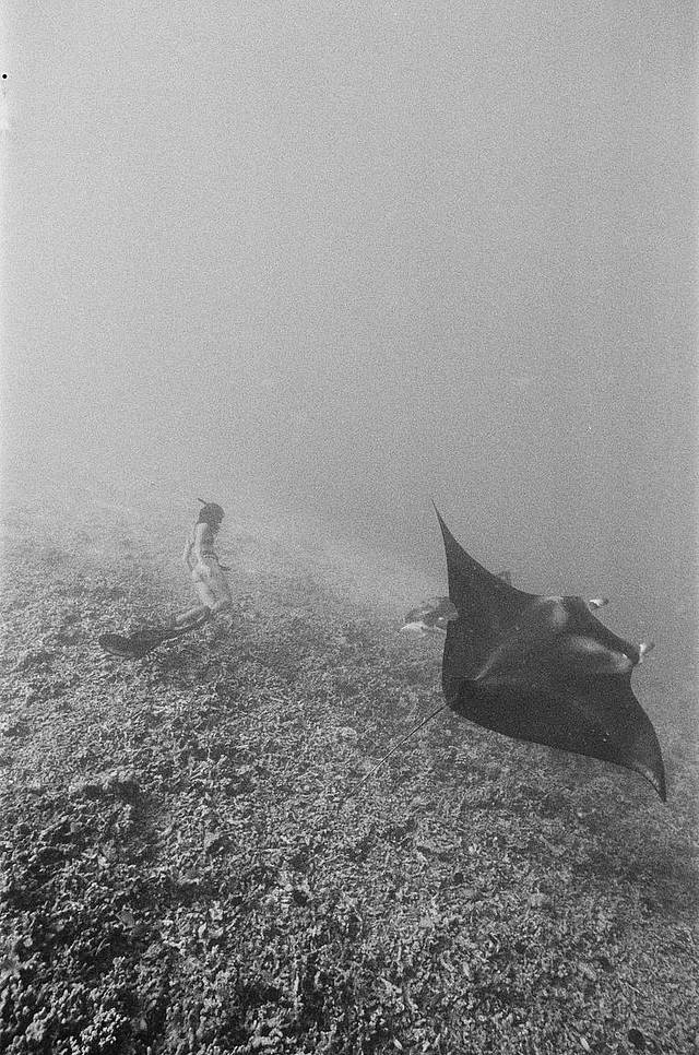 Katharine Kollman 使用 Lomography B&amp;W ISO 400 Berlin Kino 135 柏林电影黑白胶卷 拍摄的照片