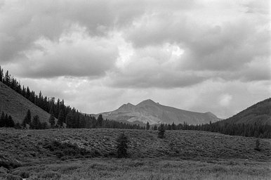 レンズ: Tamron SP 35-105mm f/2.8 · Lomography