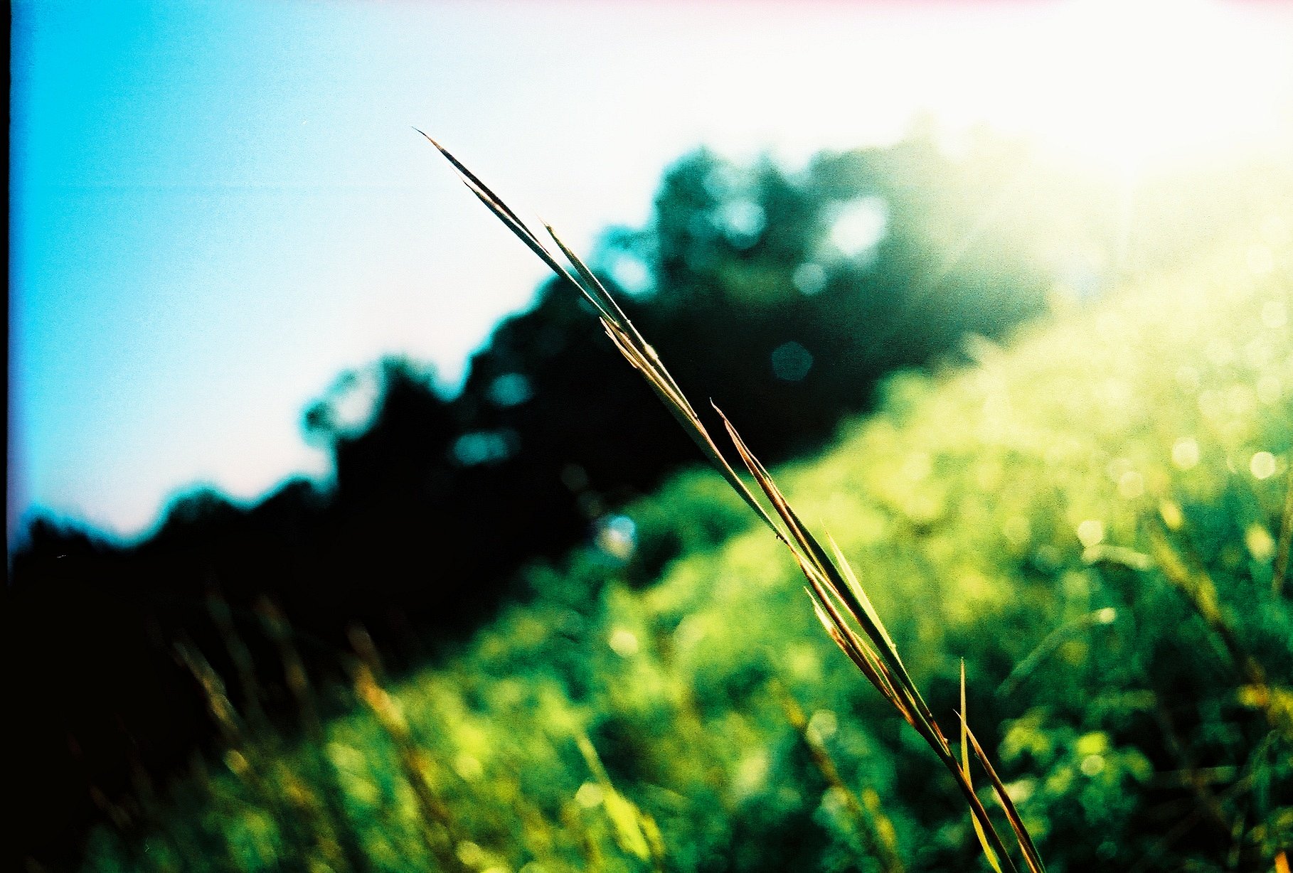 Fuji Velvia 50 35mm Color Slide: A Beginner's (Very) · Lomography
