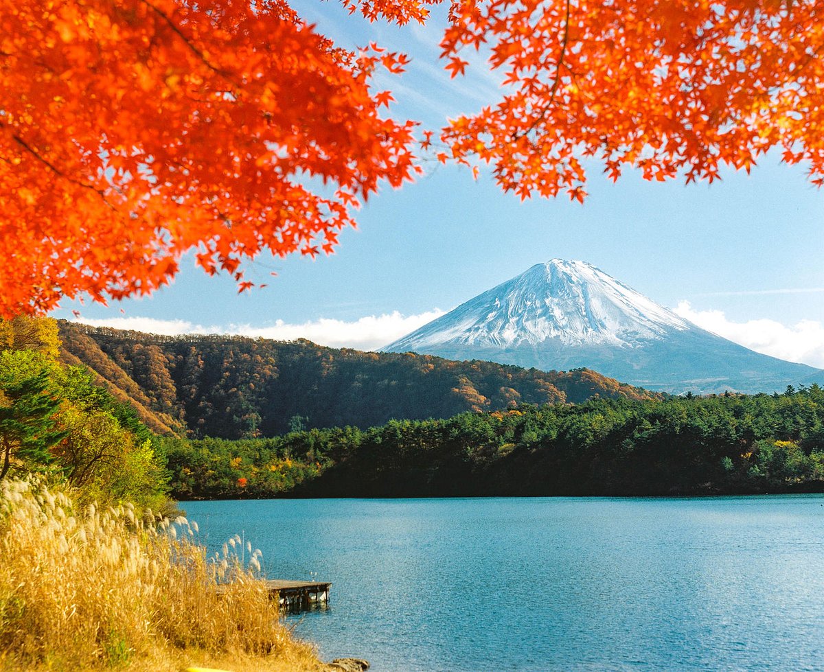 フォトグラフ 1200x979x1.jpg?auth=