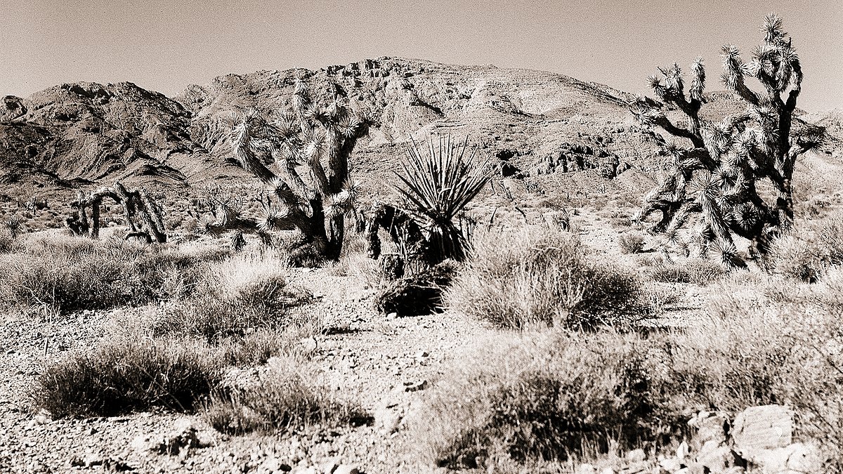 Spring Pass Bird Spring Pass southwest Las Vegas — lasvegaslomo · Lomography