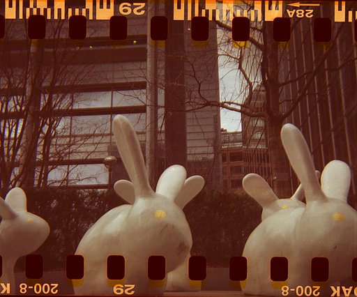 More than a medium format