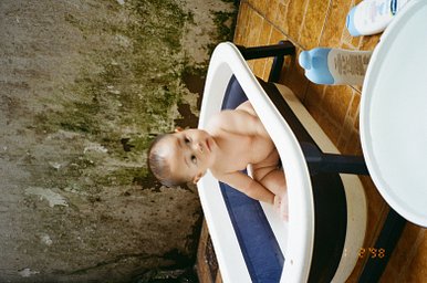 Camera: Konica Fantasio 80z · Lomography