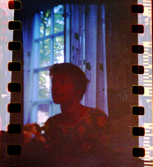 Recesky 35mm TLR: Fun All Day with My Plastic Companion