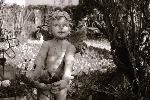 Foma Fomapan 100 (35mm, ISO 100): Affordable B&W Film with a Warm Look