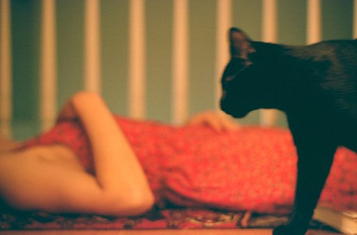 What Happened to My Photos? — A Beginner's Guide to Common Film Photography Mistakes