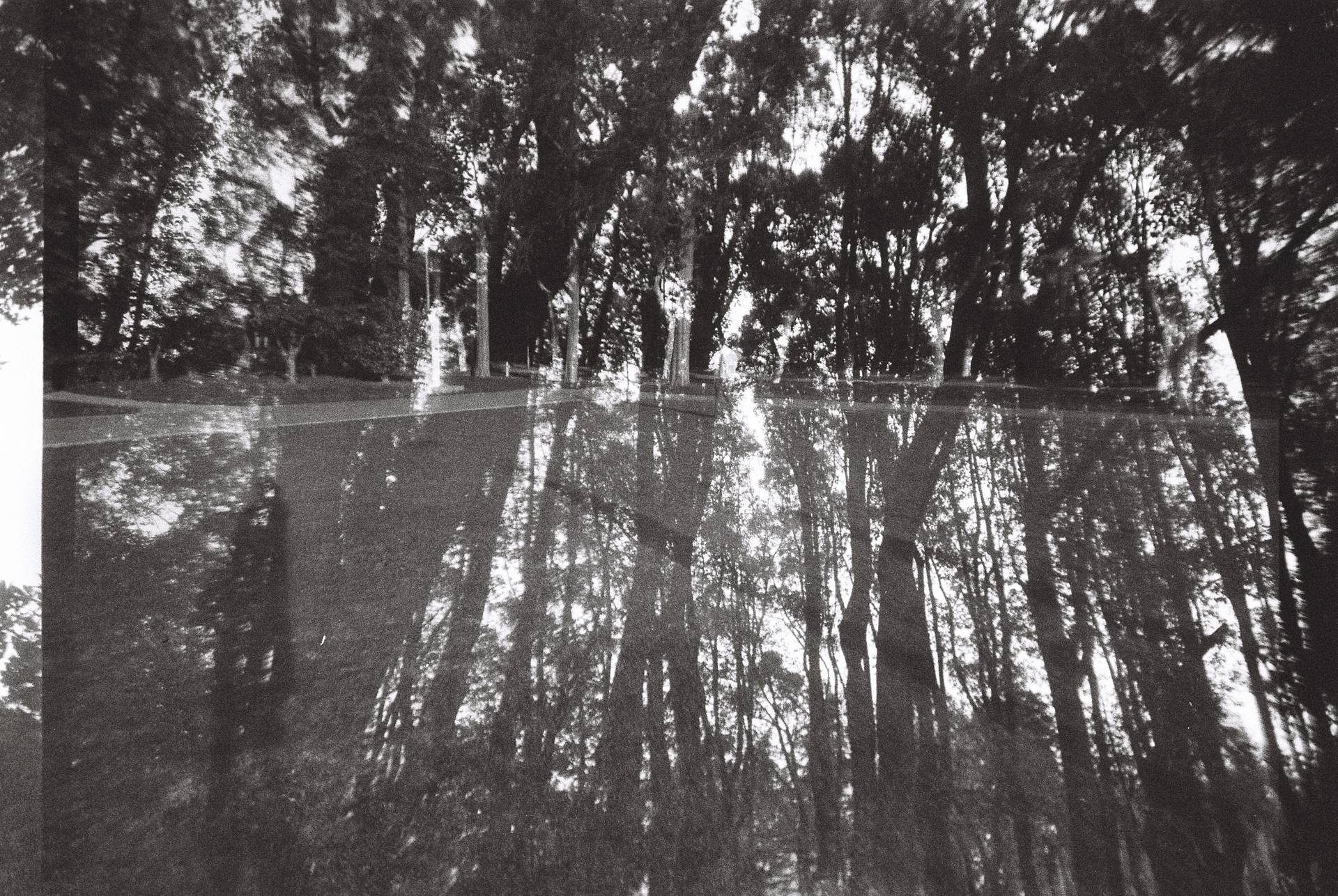 © 王逸帆 | 使用 LomoApparat 21mm 阿帕赫超广角胶片相机 - 巴黎特别版 及 Lomography B&amp;W ISO 400 Berlin Kino 135 柏林电影黑白胶卷 拍摄