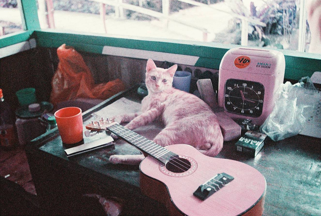 Photos by Alix Payelleville and Lucia Tarozzo | Lomo MC-A 135 全自动随拍胶片相机