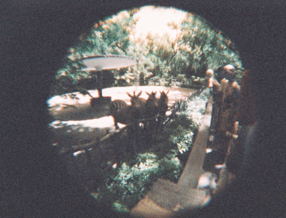 Fisheye Baby 110 鱼眼胶片相机 + LomoChrome Turquoise XR 100-400 110 绿松石胶卷