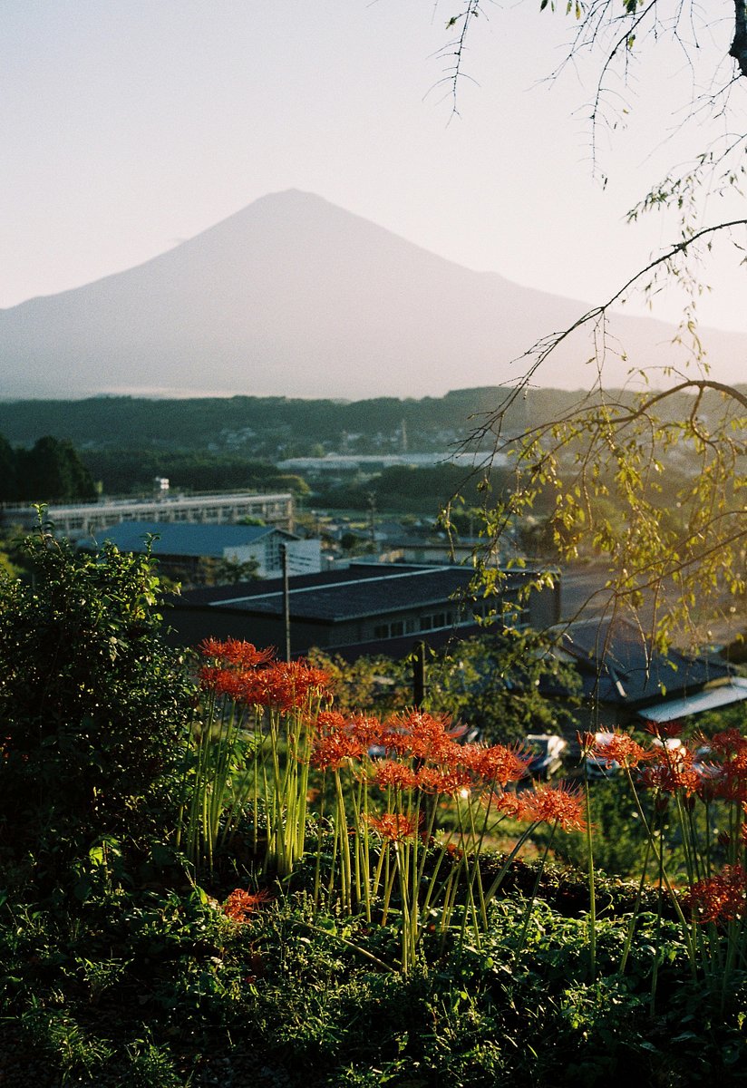 カメラ: Konica C35 FD · Lomography