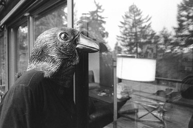 Camera: Voigtlander Bessa R2 · Lomography