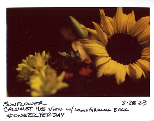 Tim Covey & Yoshitoshi Saito on Shooting Large Format with the LomoGraflok 4×5 Instant Back