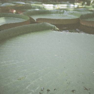 rmirrors7