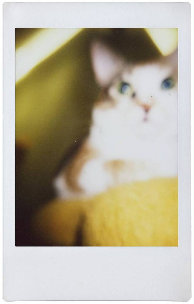 © Kay | Lomo'Instant Automat Glass 广角玻璃镜头拍立得相机－雪山特别版
