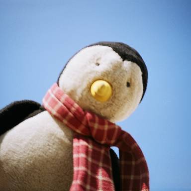 big_penguin
