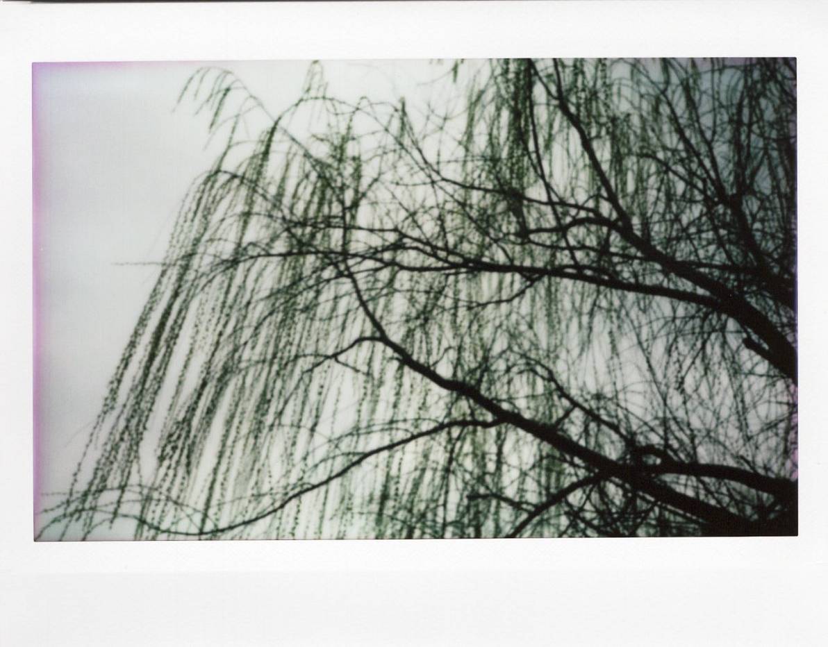 © 星星 | 使用 Lomo'Instant Wide Glass 宽幅玻璃镜头拍立得相机 拍摄