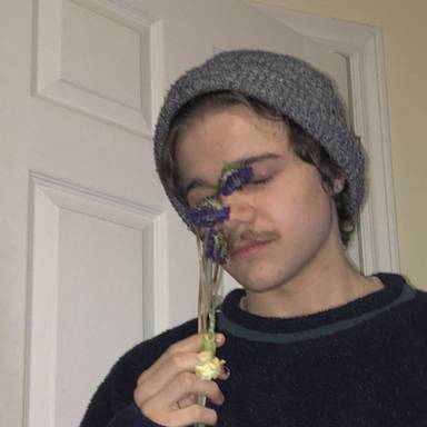 silklungs