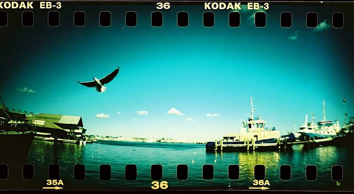 From top left, photos by: adamo-75, cangkul,  huck, albeelee, kanyewestwing, cornpony