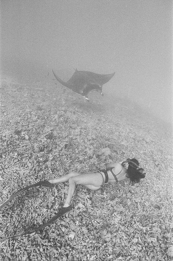 Katharine Kollman 使用 Lomography B&amp;W ISO 400 Berlin Kino 135 柏林电影黑白胶卷 拍摄的照片