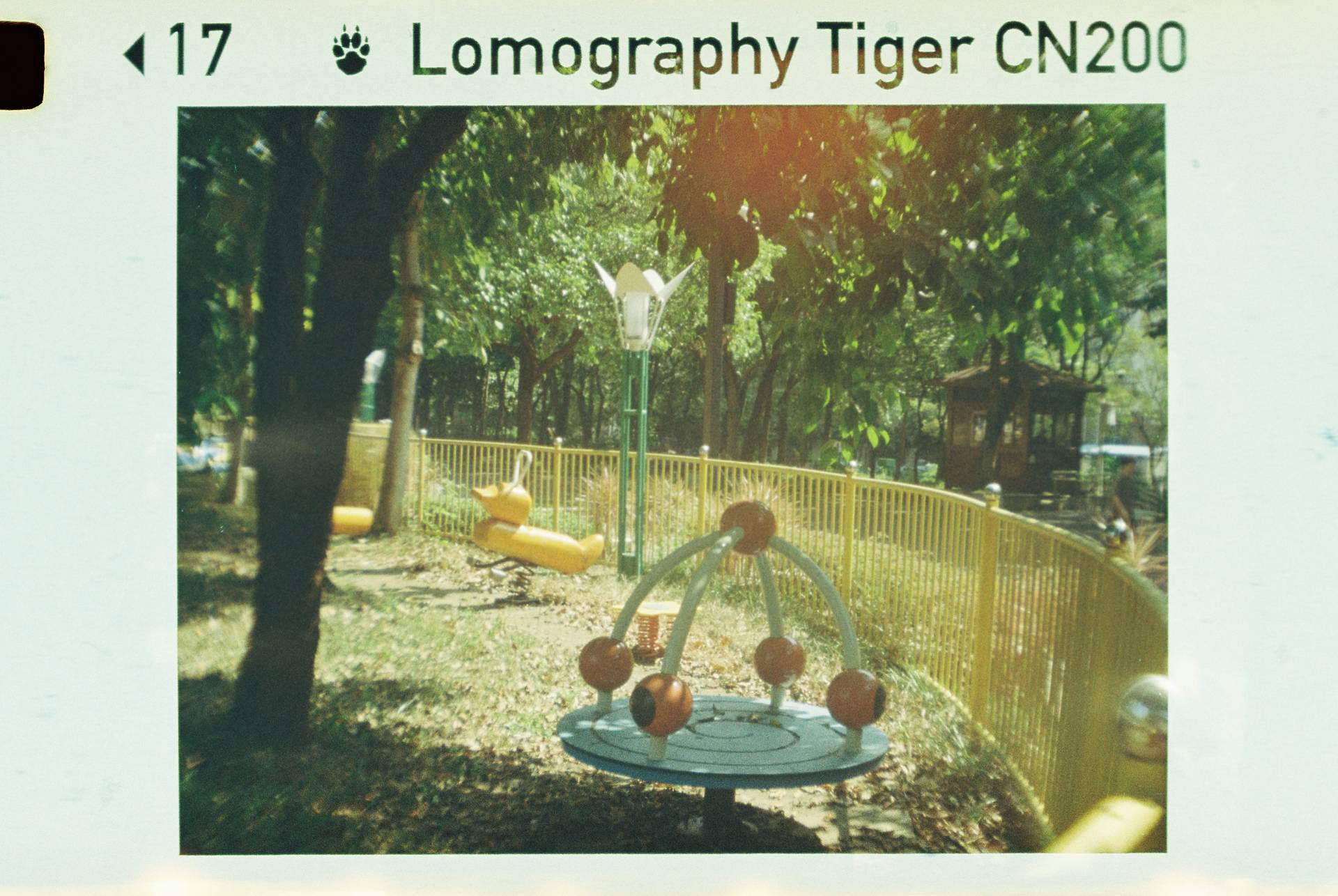 Photo by 李鑫悦