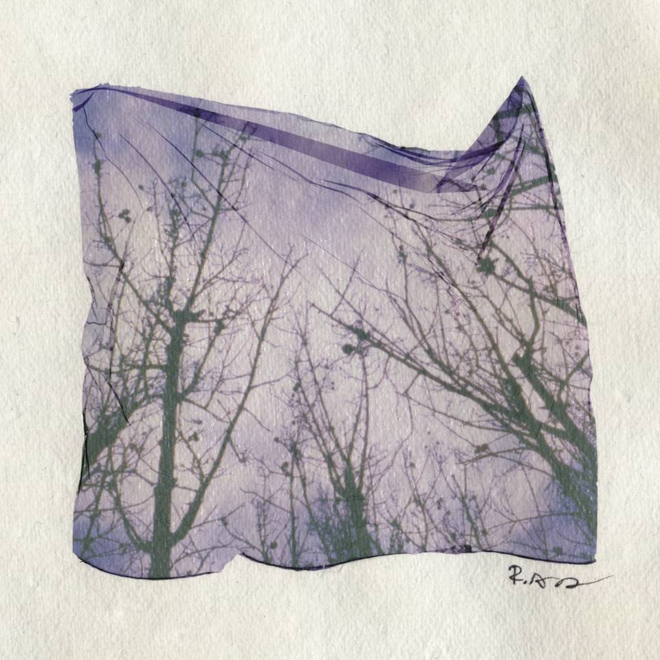 Credits: roxannalog, maverickart