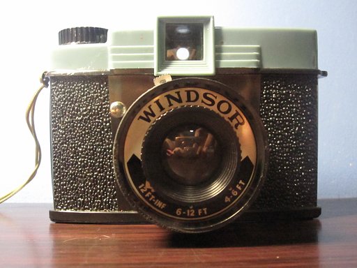 Windsor: The Diana's Long Lost Cousin