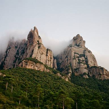 ismaellobo