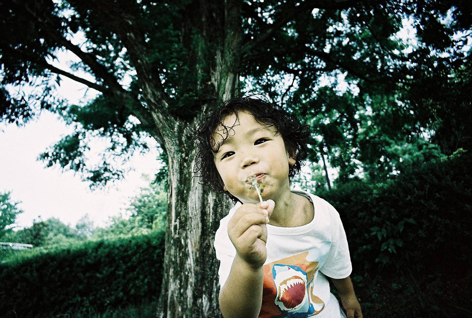 © gocchin | Lomo LC-Wide 广角胶片相机