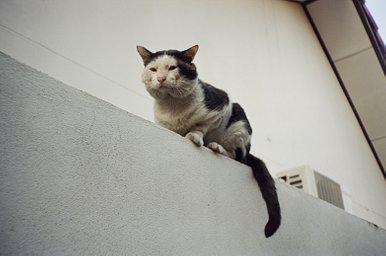 カメラ: Fujica GEr · Lomography