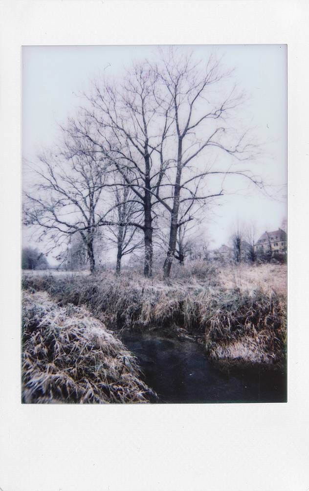 Photos by lafilledeer with the Lomo’Instant Wide and pearlgirl77 with the "Lomo’Instant Automat":