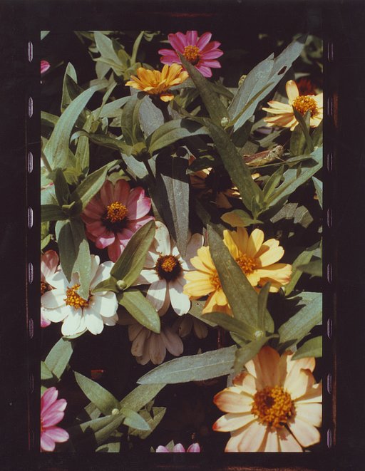In-Depth: Early Pioneers of Color Photography