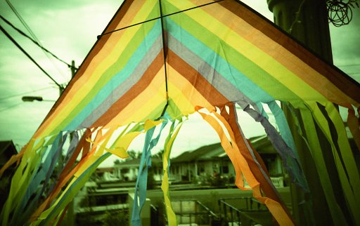 Fuji Provia 100F: My Favorite E6 Slide Film!