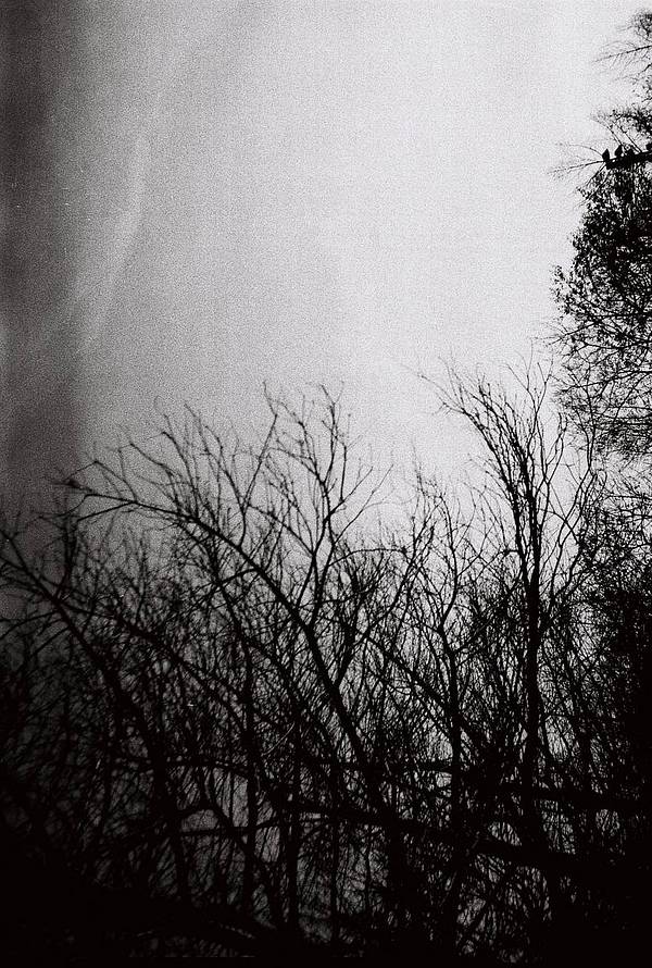 Photo credits: Lomography USA