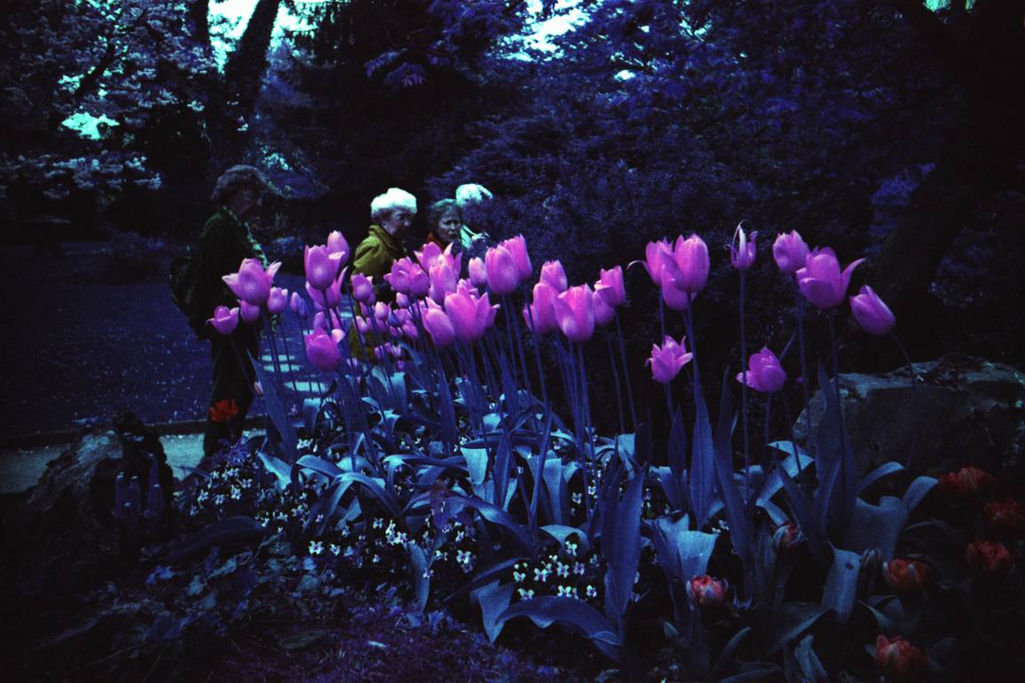 Lomography X 《小魔花 Little Joe》：異想天開的風景