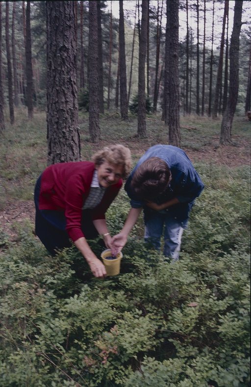 Time Capsule from 1987: Visual Anchors to the Past by @manege82