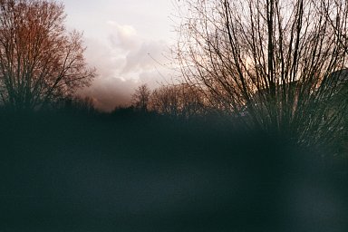Camera: Nikon Lite Touch Zoom 110s AF · Lomography